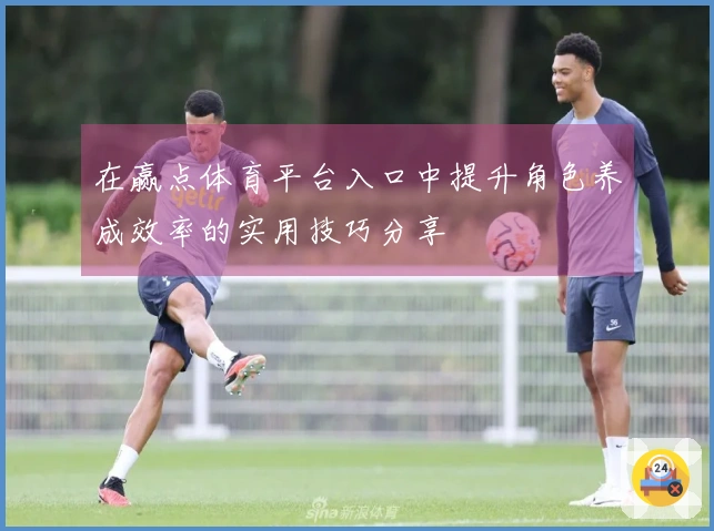 在赢点体育平台入口中提升角色养成效率的实用技巧分享