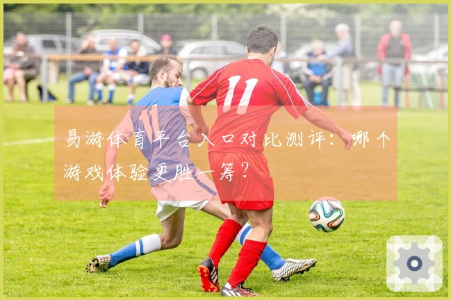 易游体育平台入口对比测评：哪个游戏体验更胜一筹？